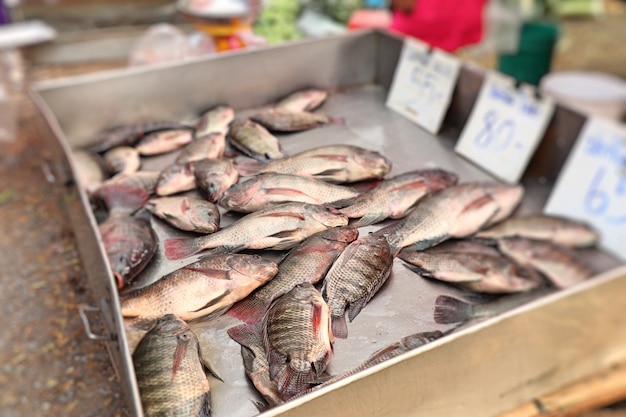 fresh fish in market 