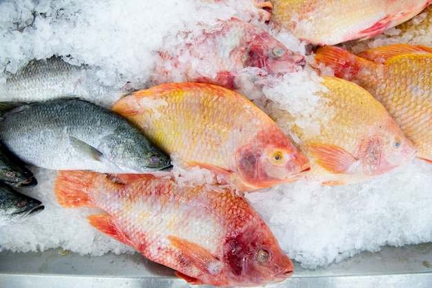 Fresh fish in market