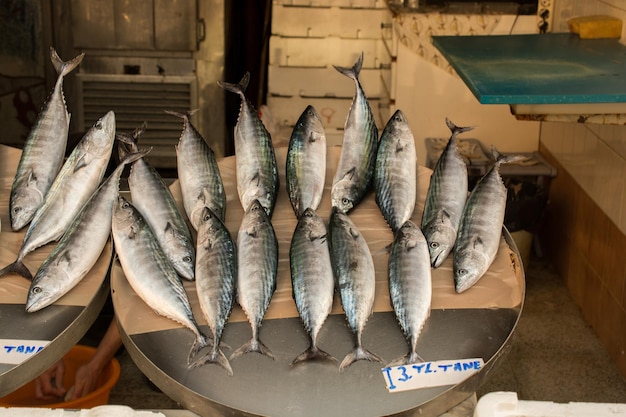 Fresh fish for sale at fish market