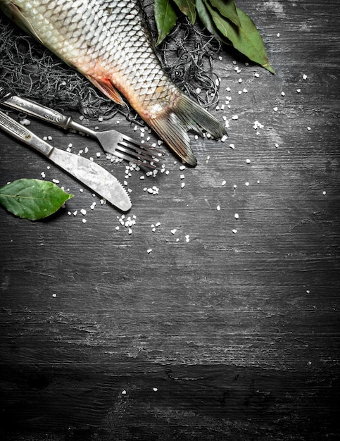 Fresh fish with branches of Laurel on the fishing net. On a black wooden background.