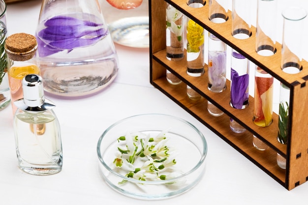 Photo fresh flowers in chemical test tubes on the table preparation of perfumes from natural ingredients aromatherapy