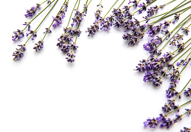 Fresh flowers of lavender bouquet