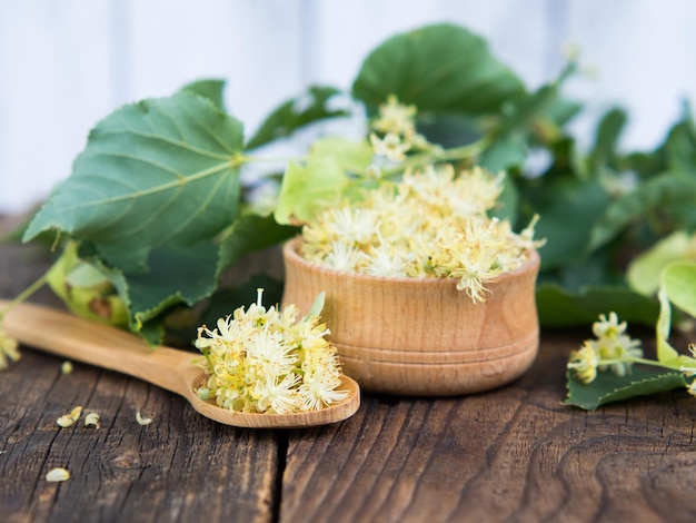 Fresh flowers of linden or linden cordate on a wooden table and in a wooden bowl