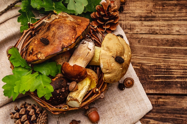 Photo fresh forest mushrooms. assorted gourmet porcini and boletus, oak leaves