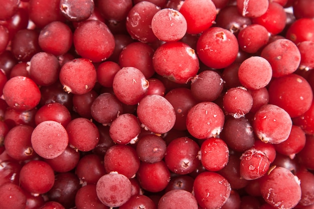 Fresh frozen red cranberry