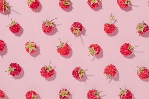 Fresh fruit background with ripe red raspberries arranged in a random pattern on pink paper in a flat lay still life