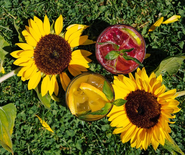 Fresh fruit lemonades on grass top view