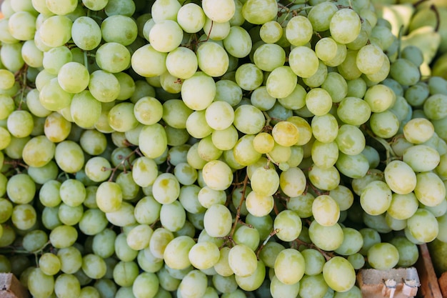 Fresh fruits on the market. Ripe beautiful fruits in boxes.