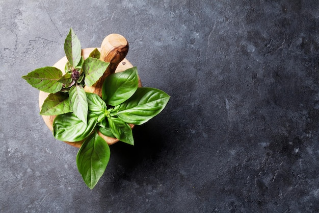 Fresh garden basil herbs in mortar