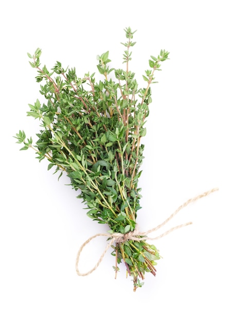 Fresh garden thyme herb