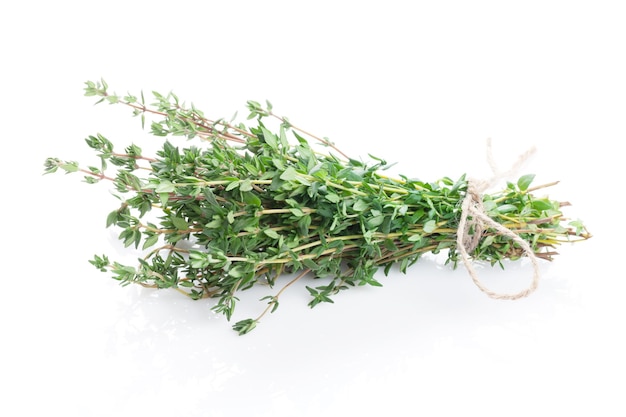 Fresh garden thyme herb