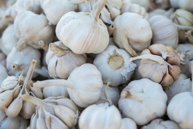 fresh garlic background