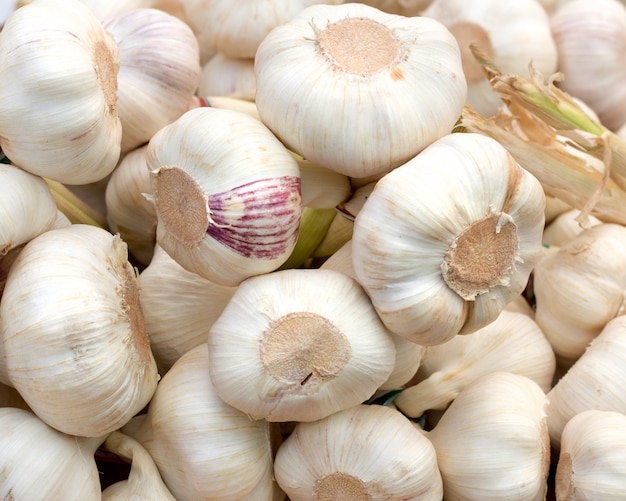 Fresh garlic  at the farmers market close up