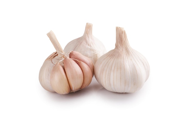 Fresh garlic isolated on white backgroundxA