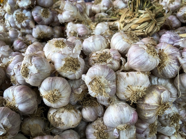 Fresh garlic on market table closeup