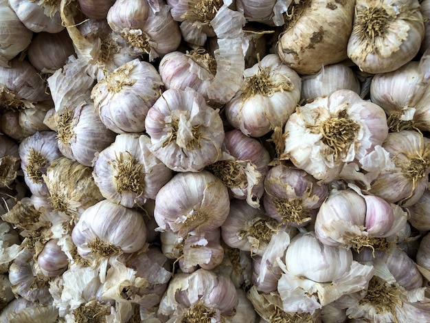 Fresh garlic on market table closeup 