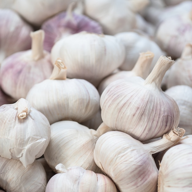 fresh garlic, selective focus