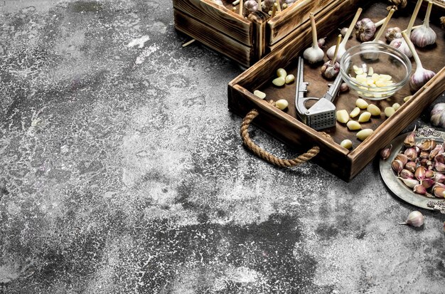 Fresh garlic with a press tool on a wooden tray.