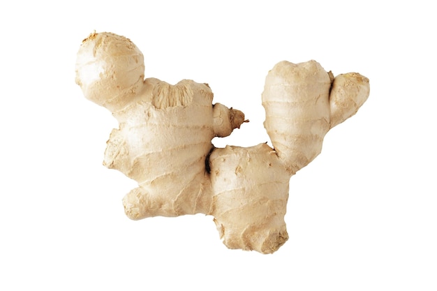 Fresh ginger isolated on white background