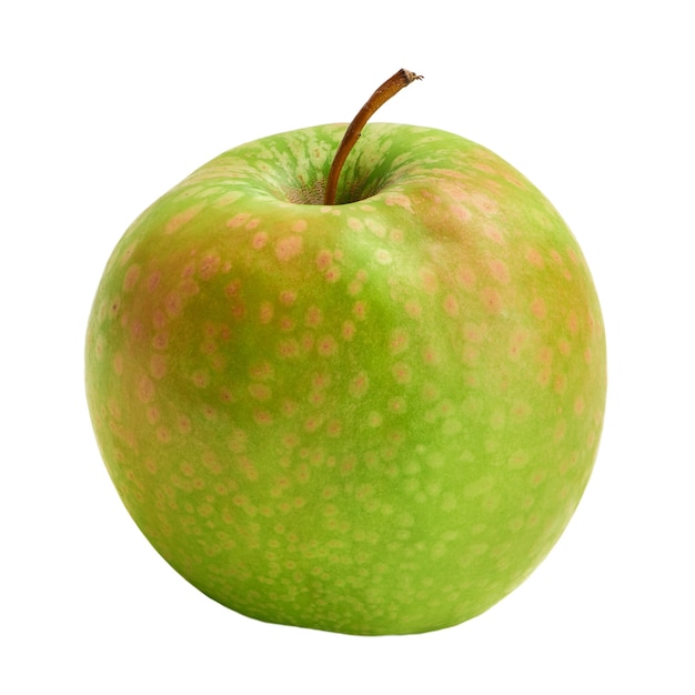 The fresh Granny Smith apple is isolated on a white background. Harvest this year.