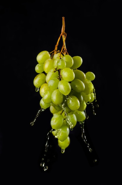 Fresh grape with water or juice splashes, isolated on black