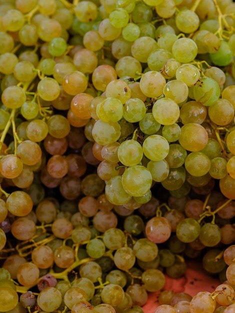 Fresh grapes in the market