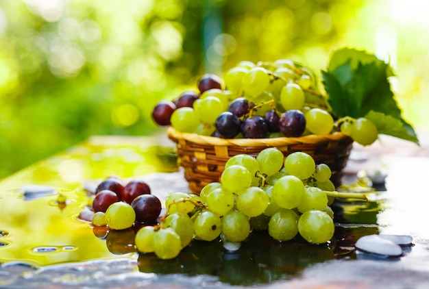 Fresh grapes in a straw basket