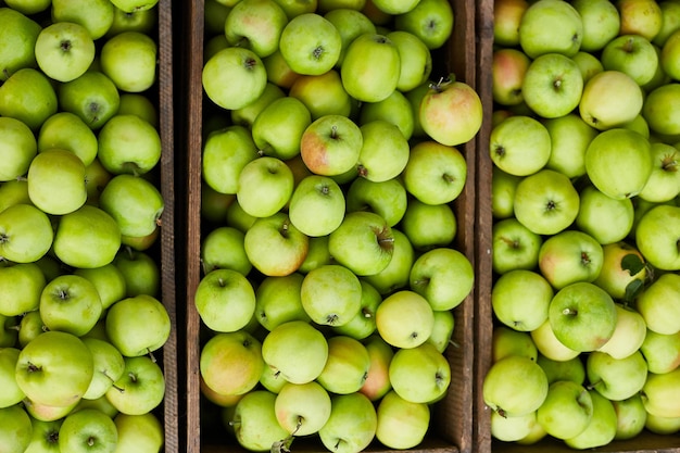 Fresh green apples on the wooden boxes harvest