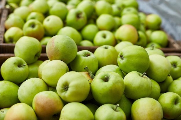 Fresh green apples on the wooden boxes harvest