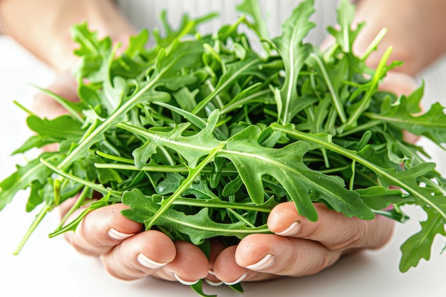 Fresh green arugula leaves held in hand