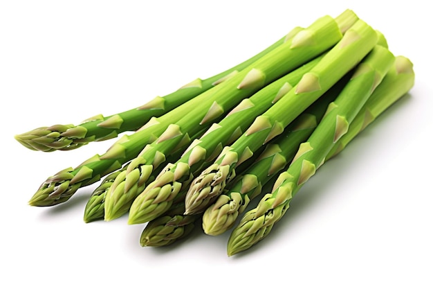 Fresh green asparagus isolated on white or transparent background AI Generated