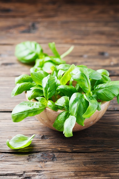 Fresh green basil on the table