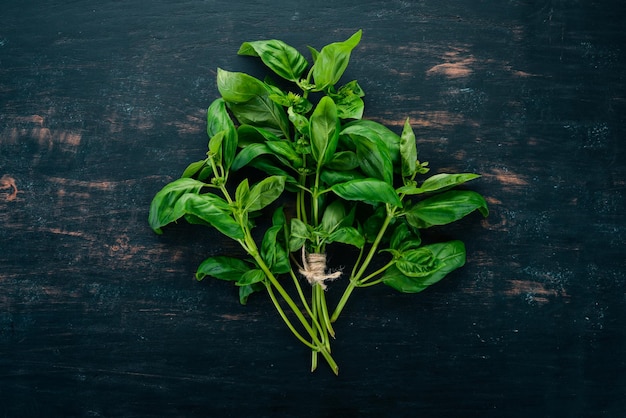 Fresh green basil Top view On the background Free space for text