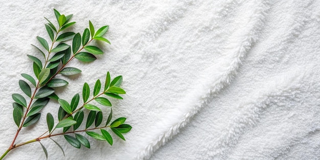 Photo fresh green branch on clean white towel with ample copy space for various design concepts