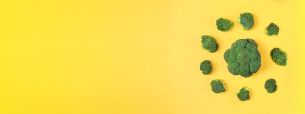 Fresh green broccoli vegetable on yellow Sunny broccoli cabbage head on a colored background