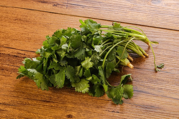 Fresh green Coriander leaves heap