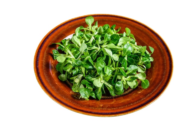 Fresh green corn salad leaves on a rustic plate Isolated on white background