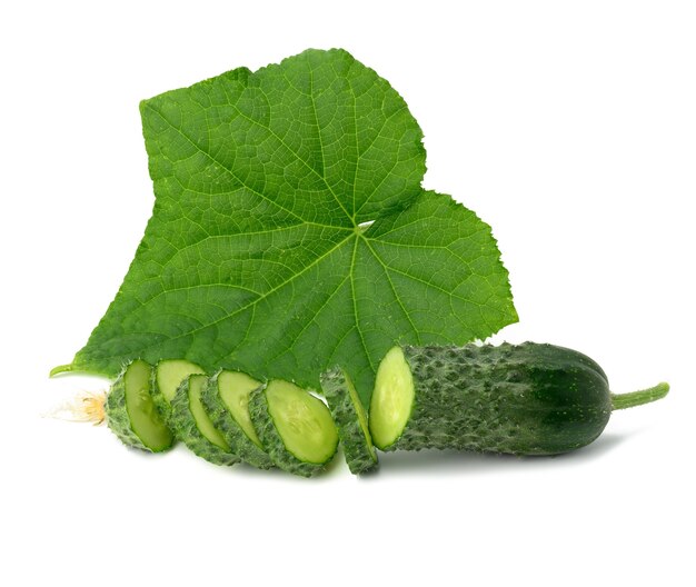 Fresh green cucumber sliced and green leaf on white background