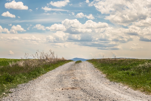 Fresh green field and blue sky in spring, view of the meadow with dirt road.