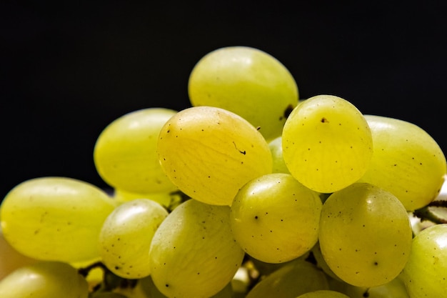 Fresh green grape Fruit and fruits Healthy kitchen