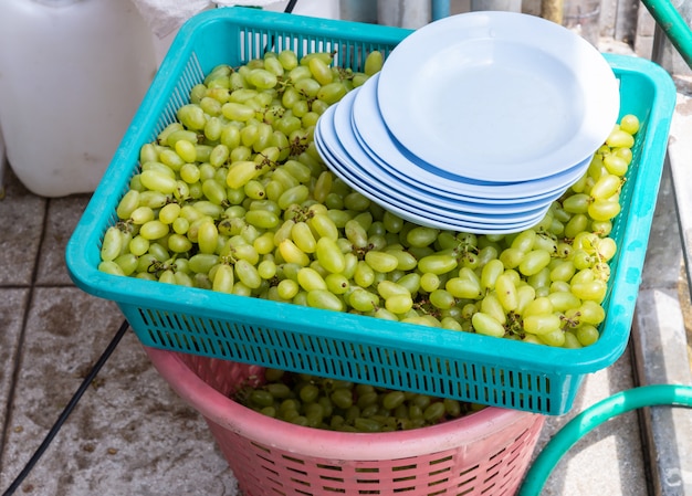 Fresh green grapes in the plastic tray.