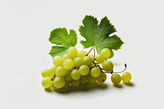 Fresh green grapes on white background