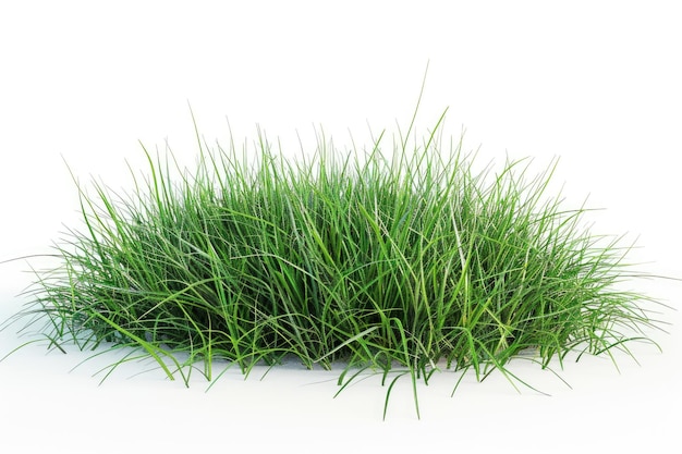 Fresh green grass on a clean white surface perfect for any design or presentation