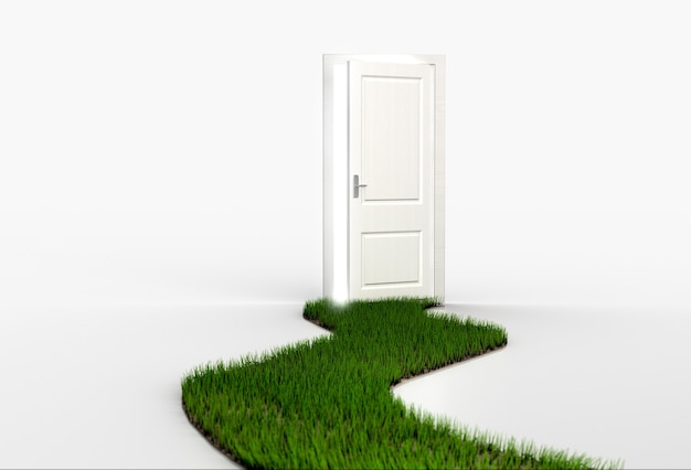 Fresh green grass path leading to open white door. 3d render