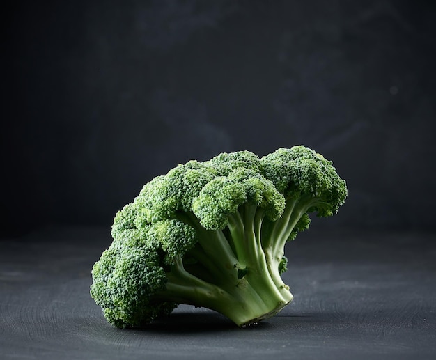 Fresh green head of broccoli on black backgroundx9