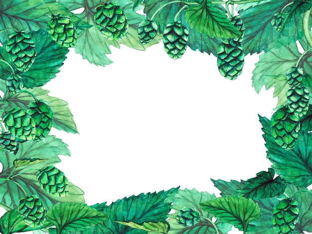 Fresh green hop Watercolor hand drawn illustration for Octoberfest Sketch on on a transparent background for ornament or any design