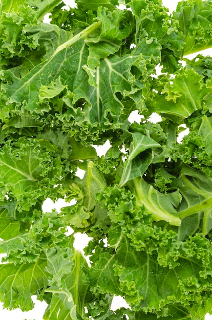 Fresh green kale leaves. Vegetarian menu, healthy diet food. Studio Photo