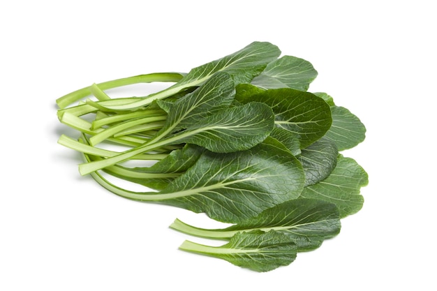 Fresh green Komatsuna leaves