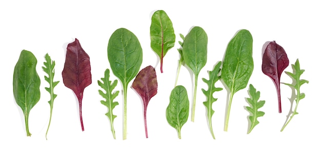 Fresh green leaves of arugula spinach chard on a white isolated background Salad mix