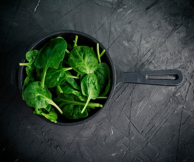 Fresh green leaves in a black round frying pan with a handle